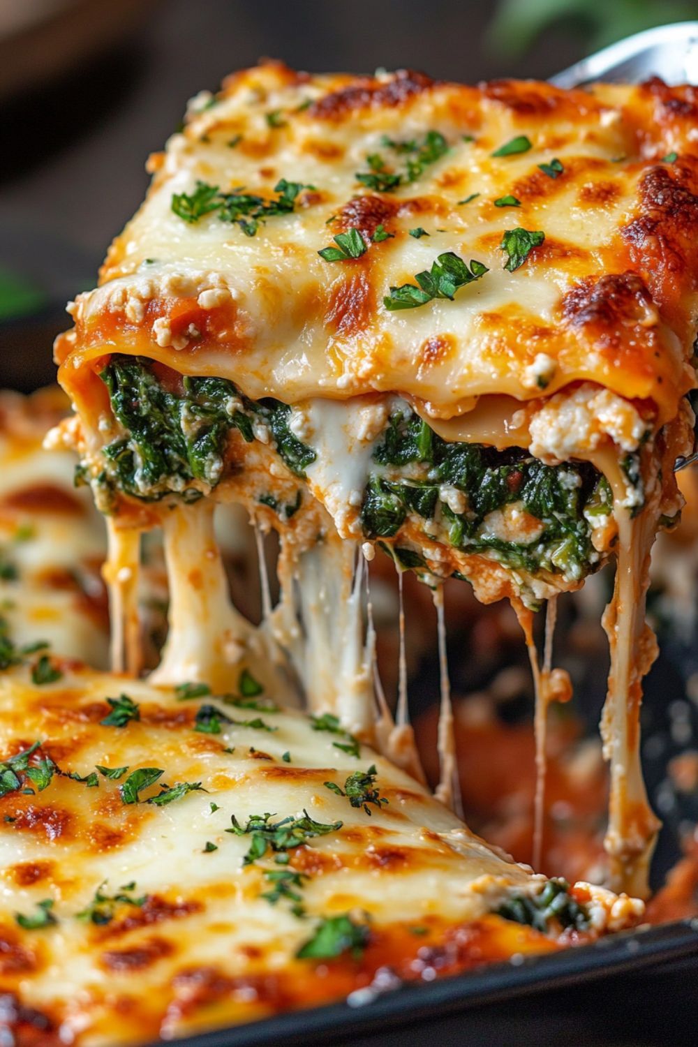 Spinach Lasagna Roll Ups